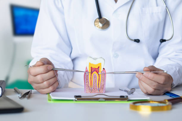 Best Emergency Root Canal Treatment in Fairfax, VA